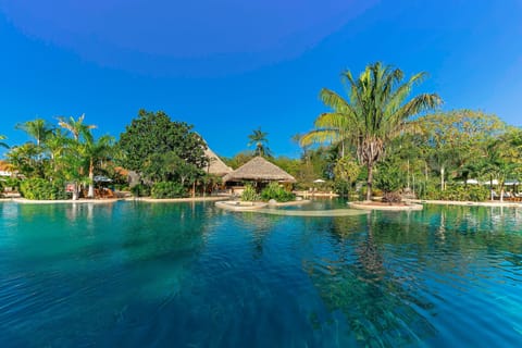 Outdoor pool, open 8:00 AM to 5:00 PM, pool umbrellas