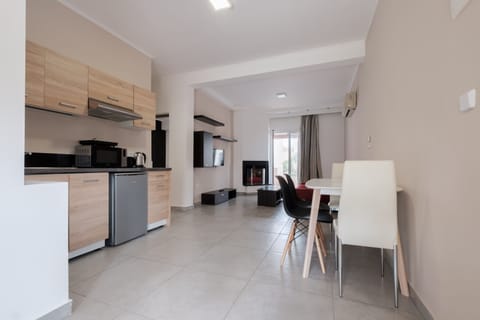 Deluxe Suite | Private kitchen | Fridge, microwave, stovetop, electric kettle