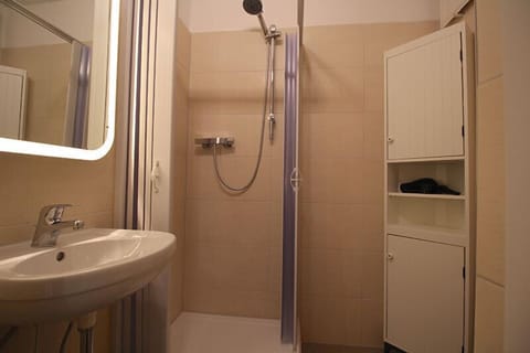 Studio (Berglust) | Bathroom | Shower, hair dryer, towels, toilet paper