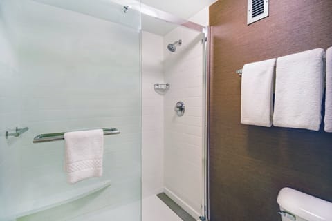 Combined shower/tub, hair dryer, towels