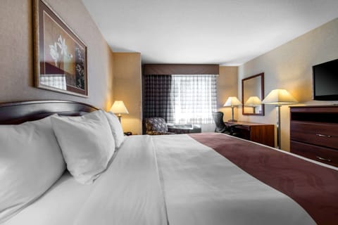 Standard Room, 1 King Bed, Non Smoking | Iron/ironing board, rollaway beds (surcharge), WiFi (free), alarm clocks