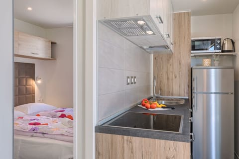 Family Mobile Home, 3 Bedrooms | Private kitchen | Fridge, stovetop, dishwasher, electric kettle