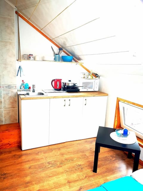 Meridian Studio with Sauna | Living area | TV