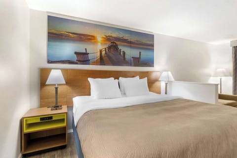 Suite, 1 King Bed, Non Smoking | Laptop workspace, blackout drapes, iron/ironing board, free WiFi