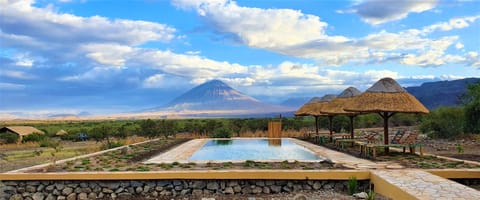 Outdoor pool, sun loungers