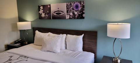 Standard Room, 1 King Bed, Non Smoking | Desk, iron/ironing board, free WiFi, bed sheets