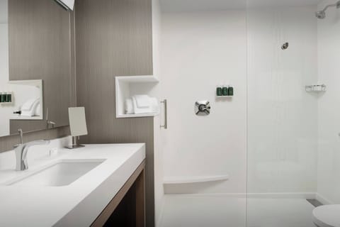 Room, 1 King Bed with Sofa bed | Bathroom | Eco-friendly toiletries, hair dryer, towels, soap