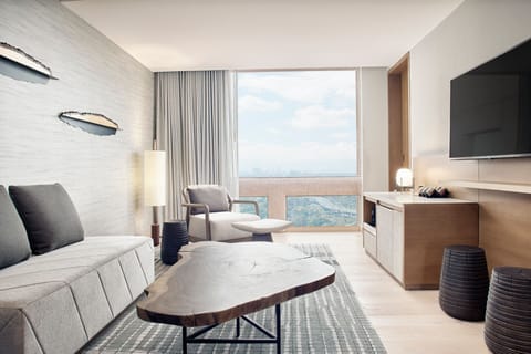 Executive Suite, 1 Bedroom, Executive Level | Living area | 49-inch Smart TV with cable channels, TV, Netflix