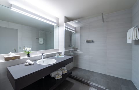 Standard Double Room | Bathroom | Free toiletries, hair dryer, bathrobes, slippers