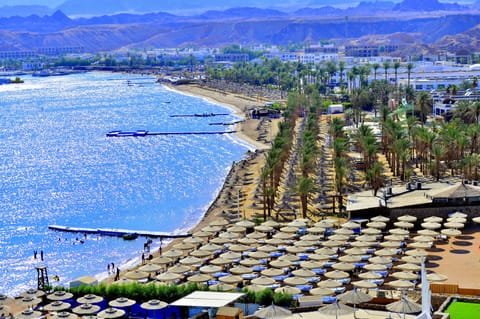 Free beach shuttle, beach massages, beach bar