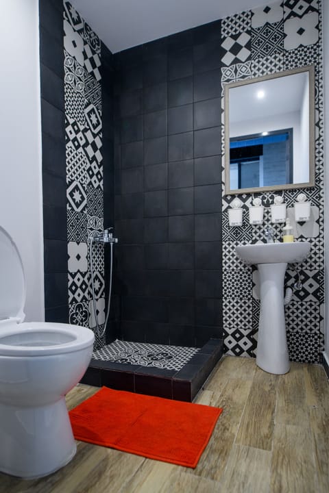 Shower, hair dryer, toilet paper