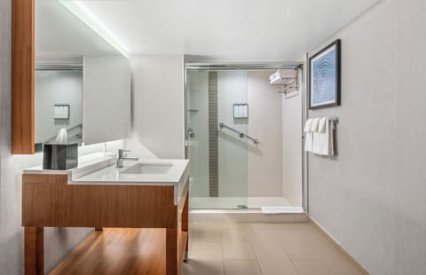 Designer toiletries, hair dryer, towels