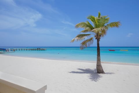 Condo, 2 Bedrooms | Beach | On the beach