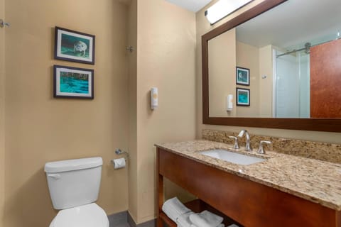 Down comforters, in-room safe, desk, blackout drapes