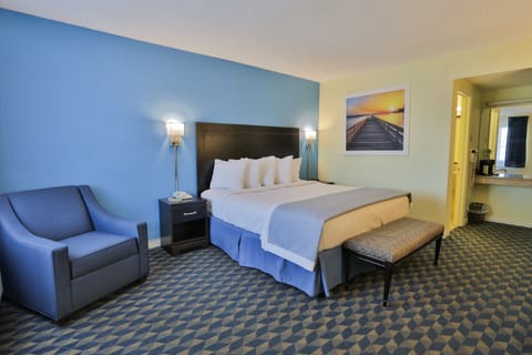 Standard Room, 1 King Bed | Desk, blackout drapes, iron/ironing board, rollaway beds