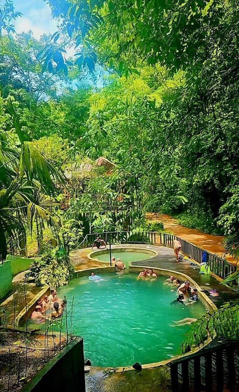 Natural pool