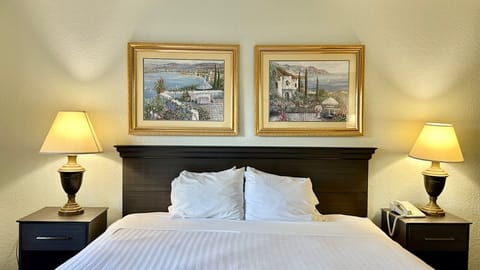 Basic Room, 1 King Bed | Desk, blackout drapes, iron/ironing board, free WiFi