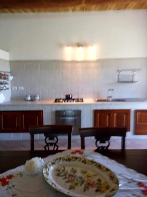 Full-size fridge, oven, stovetop, dishwasher