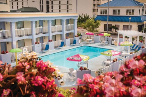Indoor pool, seasonal outdoor pool, sun loungers