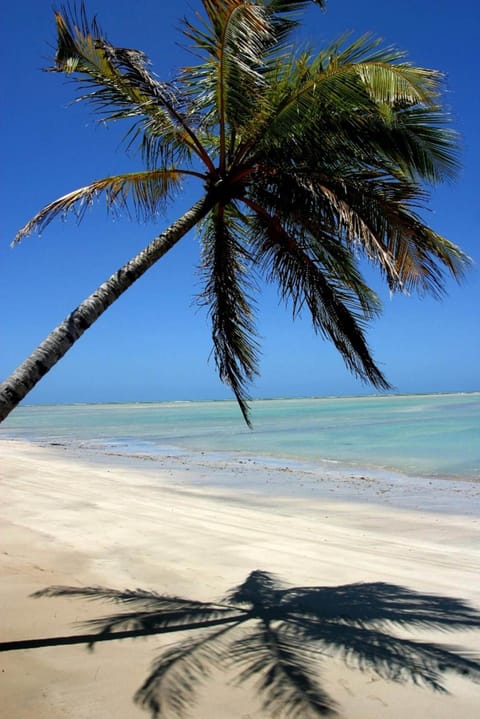 On the beach, white sand