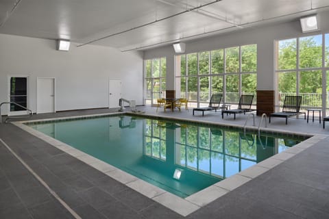 Indoor pool, sun loungers