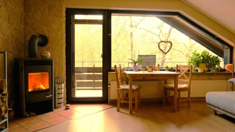Apartment, 2 Bedrooms, Non Smoking, Fireplace | Living area | Flat-screen TV, DVD player