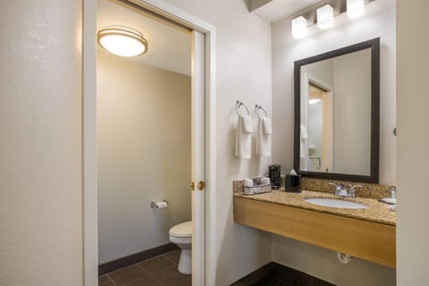 Standard Room, 1 King Bed, Non Smoking | Premium bedding, desk, blackout drapes, iron/ironing board