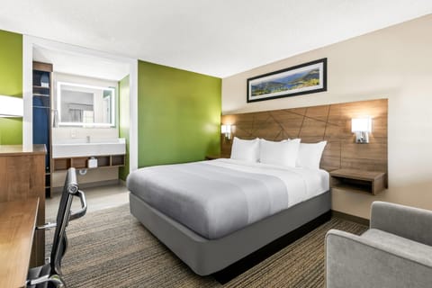 Standard Room, 1 King Bed, Non Smoking | Premium bedding, desk, laptop workspace, blackout drapes