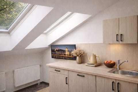 Superior Room with Kitchenette | Private kitchenette | Fridge, microwave, electric kettle, highchair