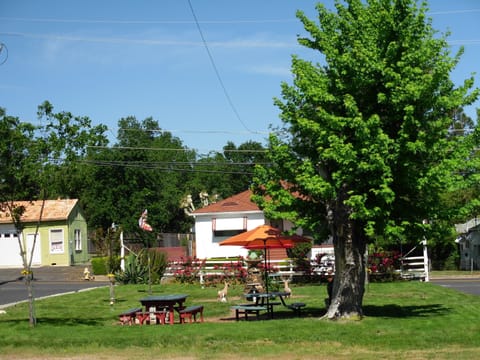 BBQ/picnic area