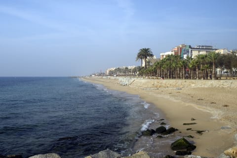 On the beach