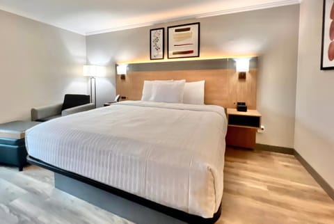 Premium bedding, desk, blackout drapes, iron/ironing board