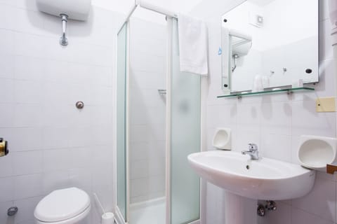 Shower, free toiletries, hair dryer, bidet