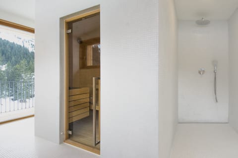 Sauna, hot tub, steam room, massages