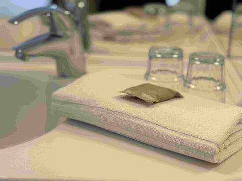 Hair dryer, soap, shampoo, toilet paper