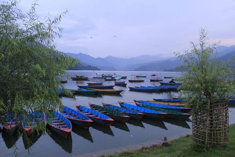 Lake