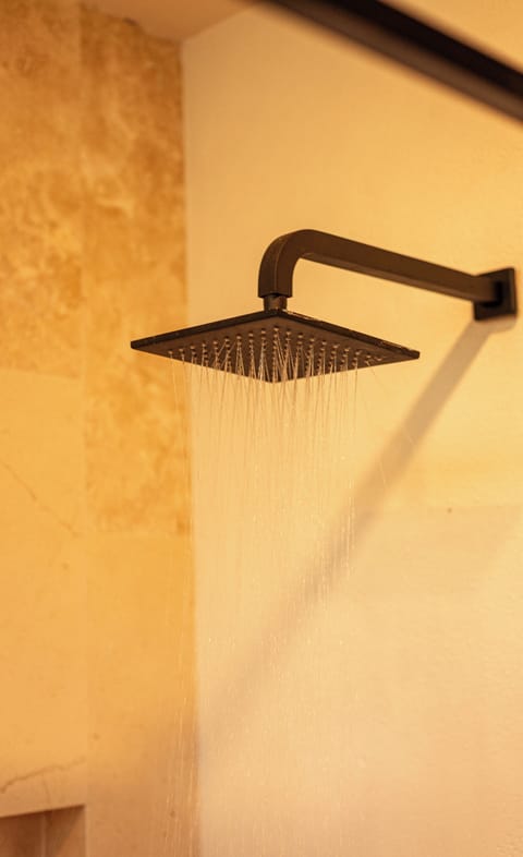 Deluxe Suite | Bathroom | Shower, towels