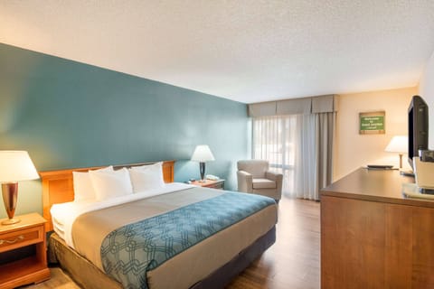 Standard Room, 1 King Bed, Non Smoking | Iron/ironing board, free cribs/infant beds, rollaway beds, free WiFi