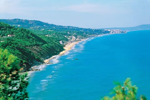 Water view