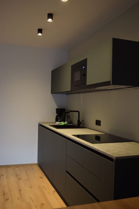 Apartment | Private kitchen | Full-size fridge, microwave, stovetop, dishwasher