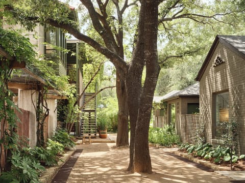 Outdoor wedding area