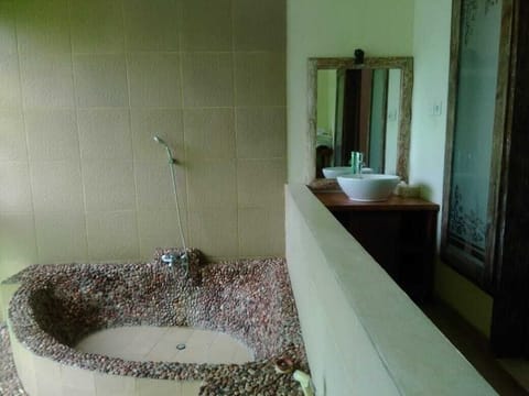 Deluxe Double Room | Bathroom | Free toiletries, towels