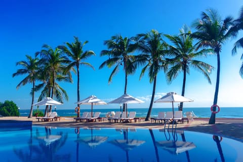 Outdoor pool, sun loungers