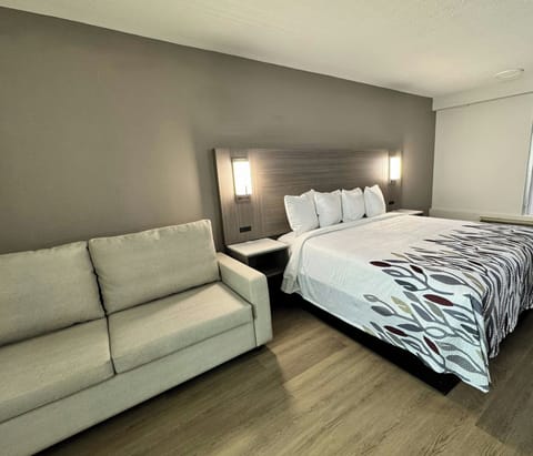 Superior Room, 1 King Bed with Sofa bed, Smoking | Down comforters, individually decorated, individually furnished, desk