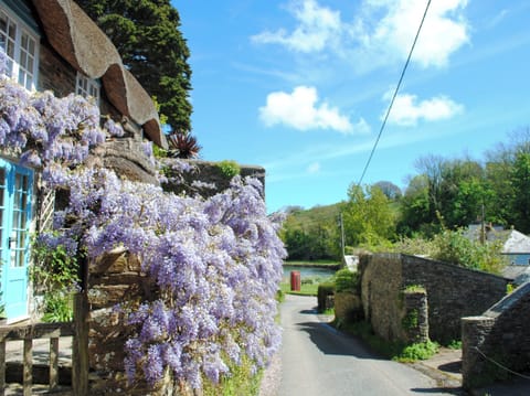 Cottage | Property grounds