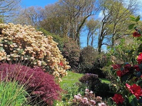 Cottage | Property grounds
