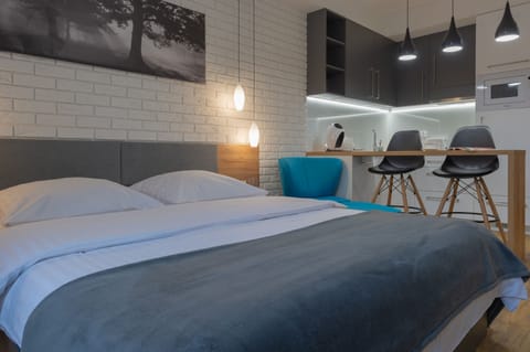 Apartment, 1 King Bed | 1 bedroom, laptop workspace, soundproofing, iron/ironing board