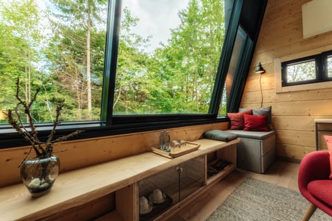 Cabin | Living area | TV, books