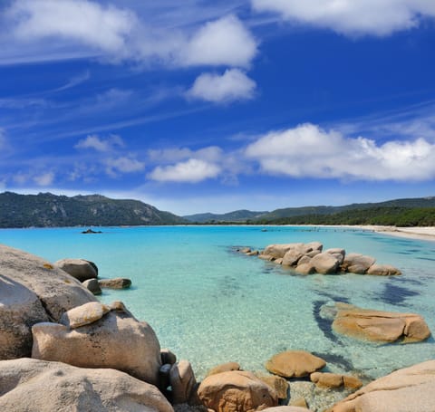 Beach umbrellas, beach towels