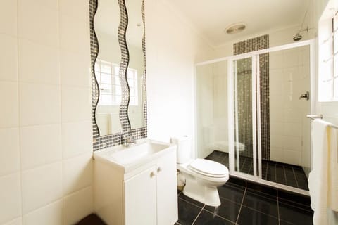 Comfort Room (Boat) | Bathroom | Shower, free toiletries, towels, soap